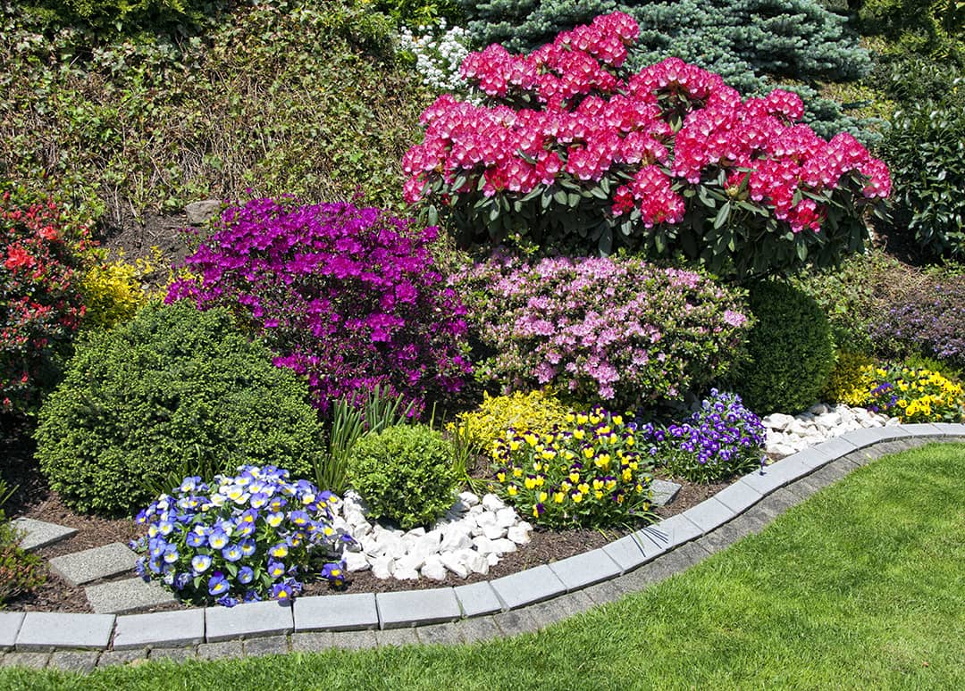 Flower Bed Weed Reduction