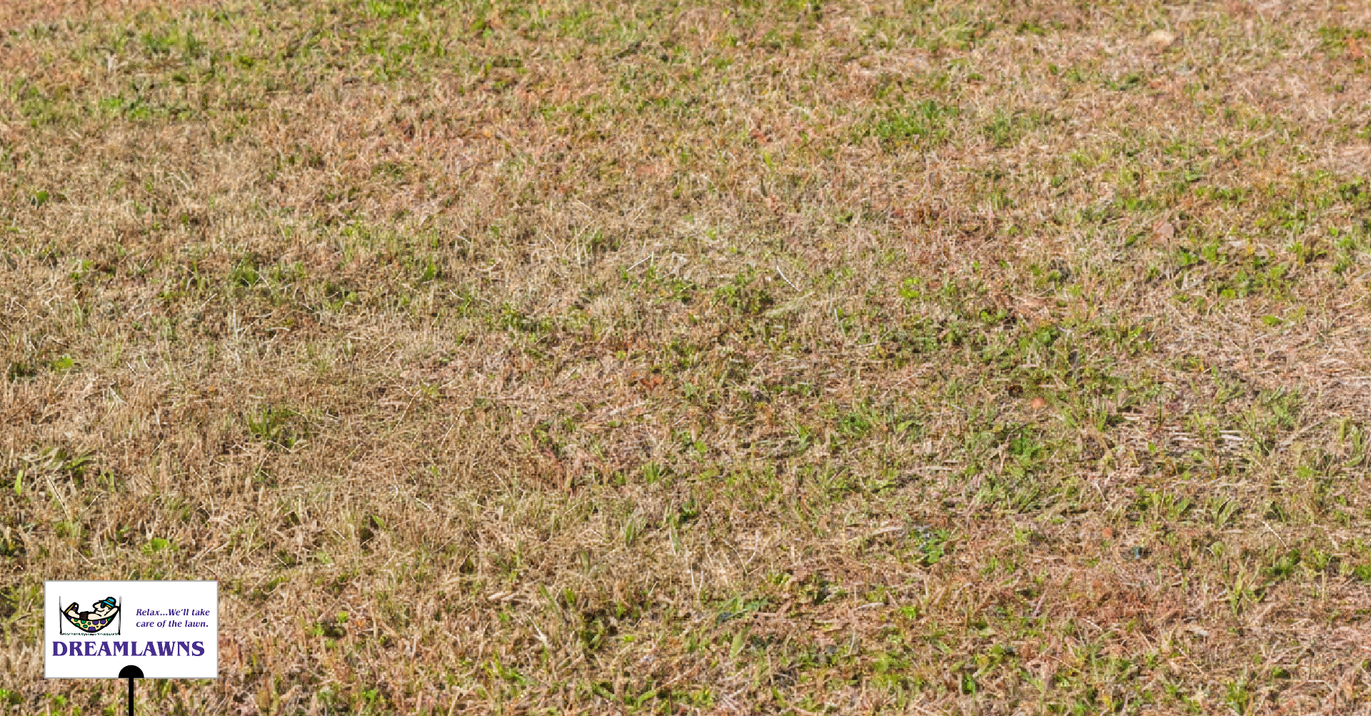 Dormant V1_LinkedIn Post