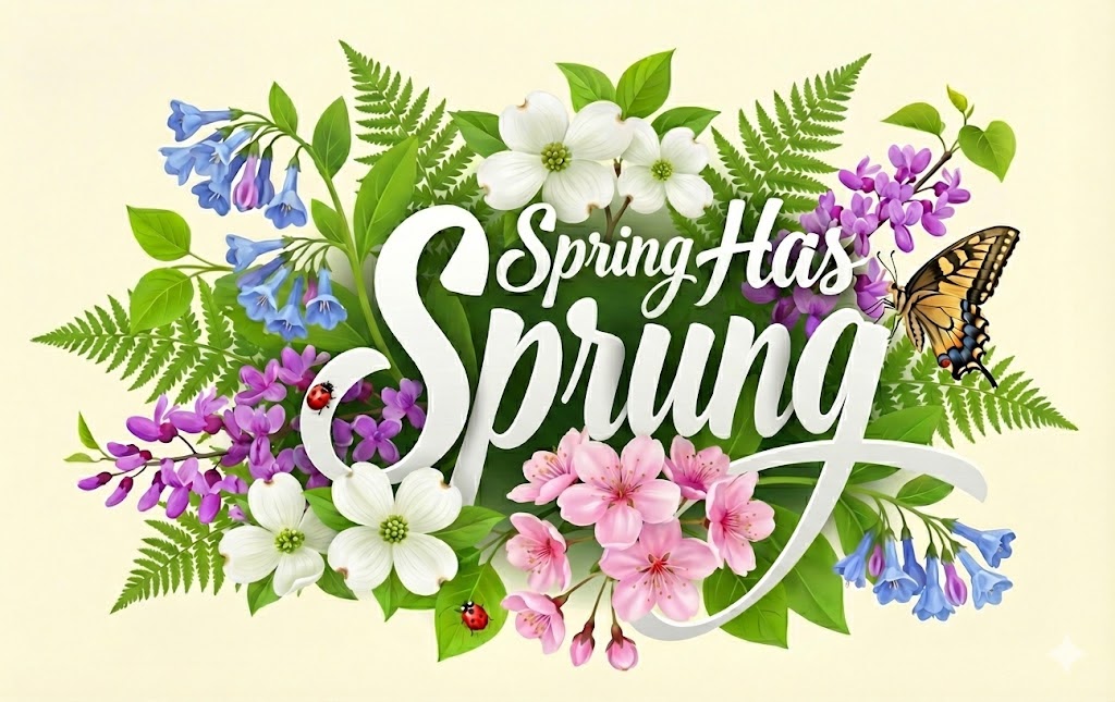 This Is An Important Time For Your Lawn